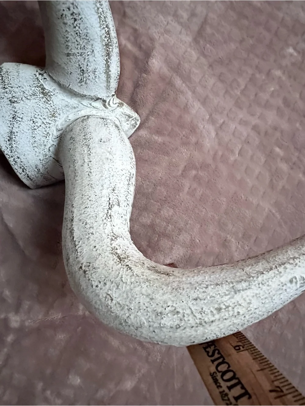 Vintage Rustic White Decorative Wall Horn